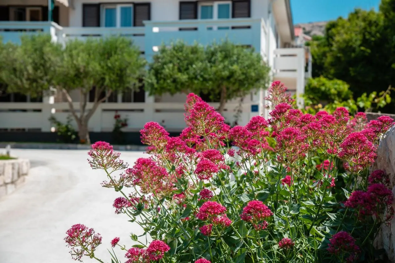 Apartmani Andreja Pag Town Appartamento